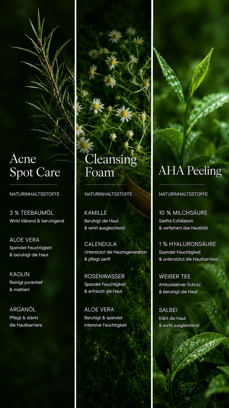 Acne Care Collection Box