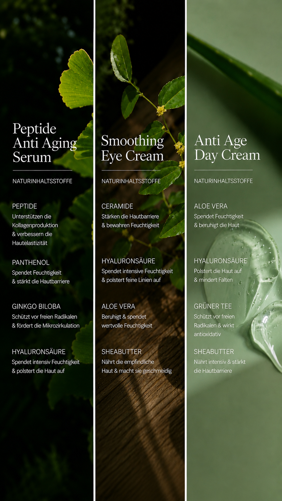 Anti-Aging Collection Box