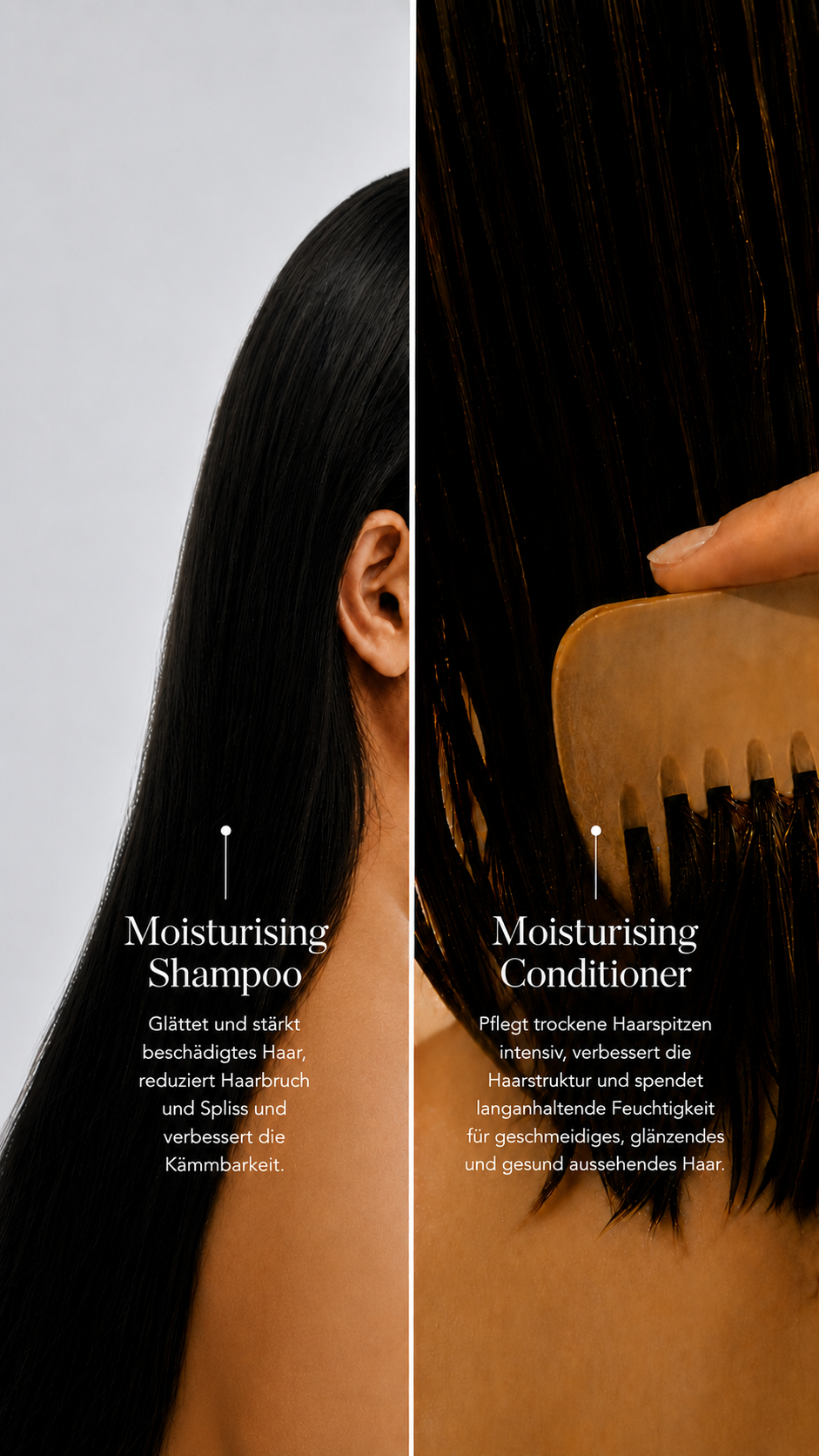 Hair Repair & Shine Duo
