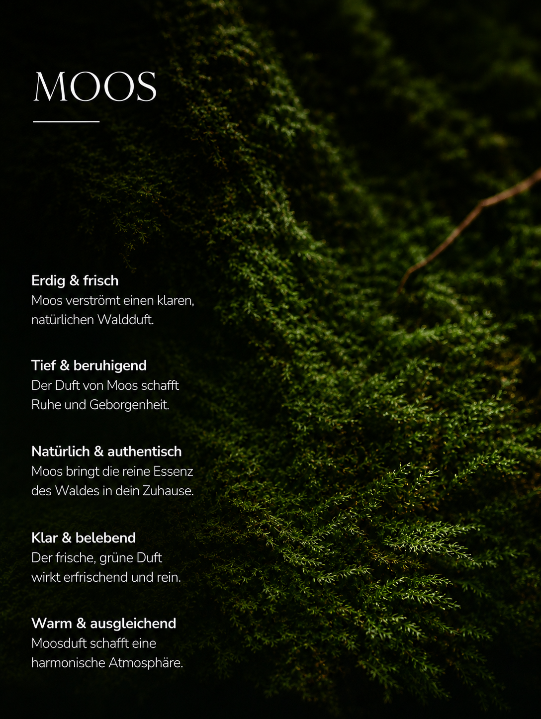 Soy Wax Candle, Moss