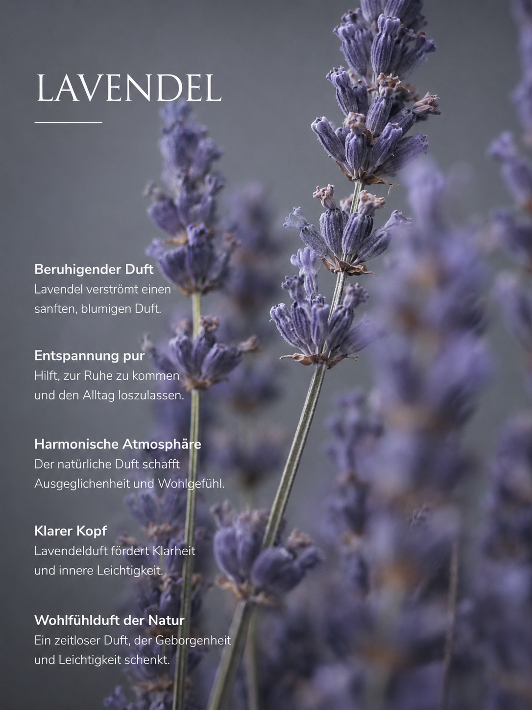 Soy Wax Candle, Lavender